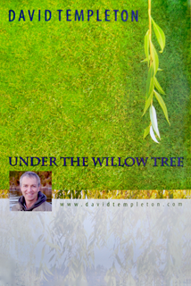 Willow Poster